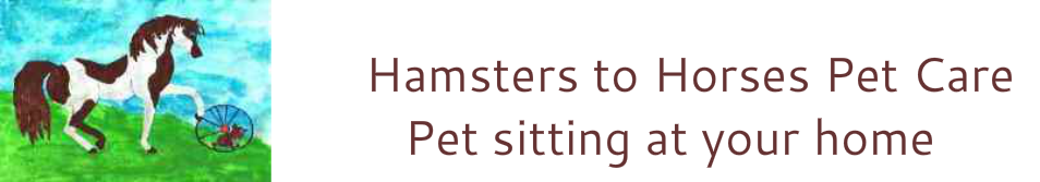 Hamsters to Horses Pet Care